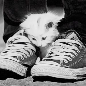 Caught between two shoes