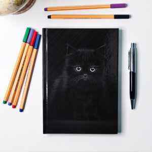When eyes enchant you - Journal